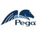 Pegasystems PEGAPCRSA80V1-2019 Certification Test